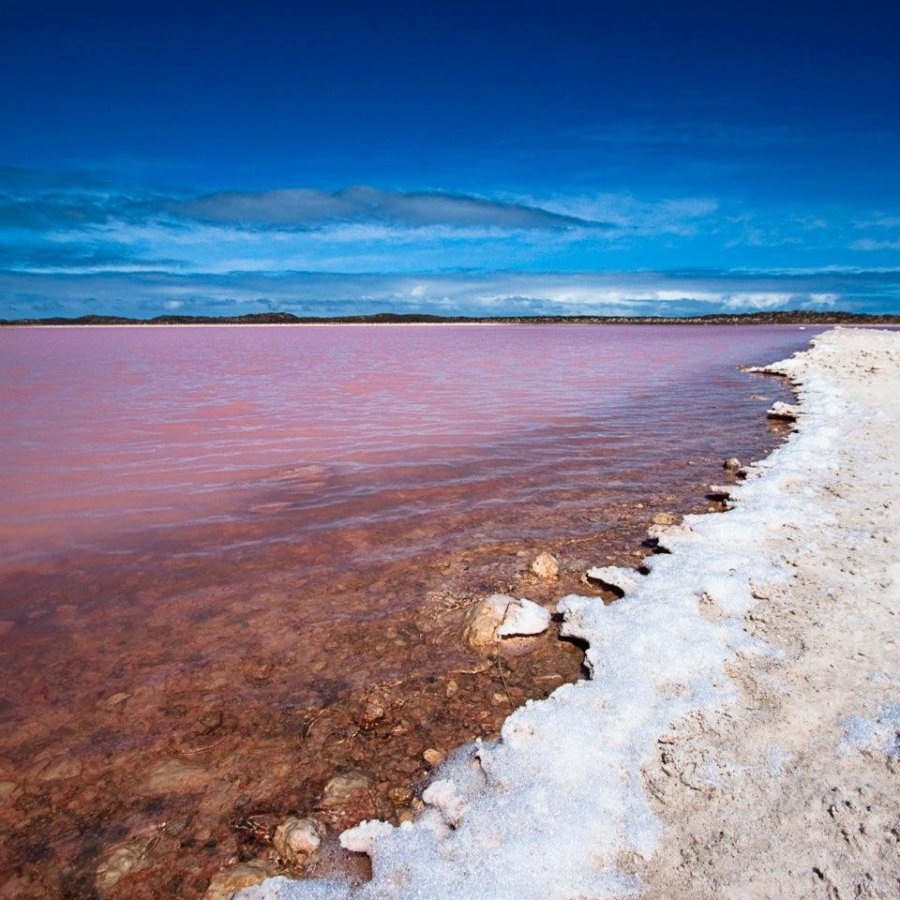 Розовое соленое Кояшское озеро